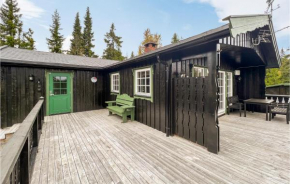 Beautiful Home In Sjusjøen With Kitchen